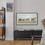 Vita